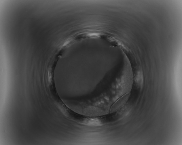 X0000086730715200704201646