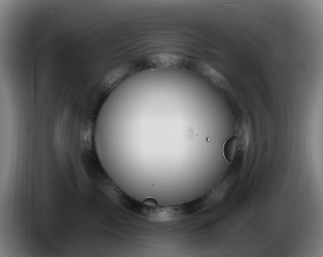 X0000086730717200704201646