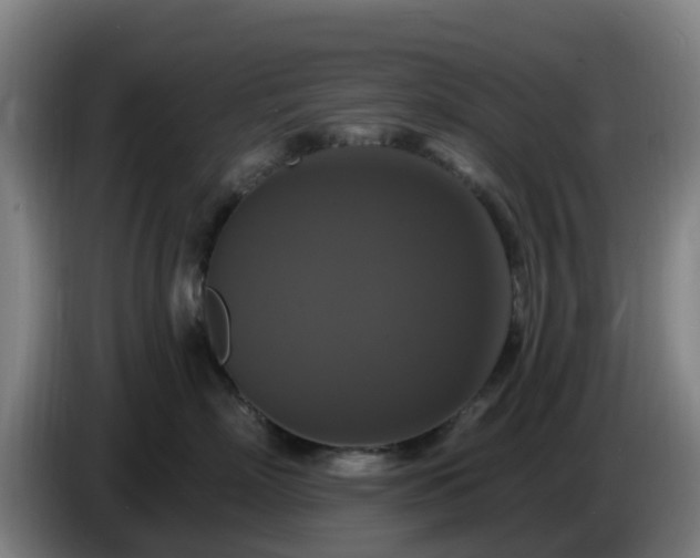 X0000086730718200704201646