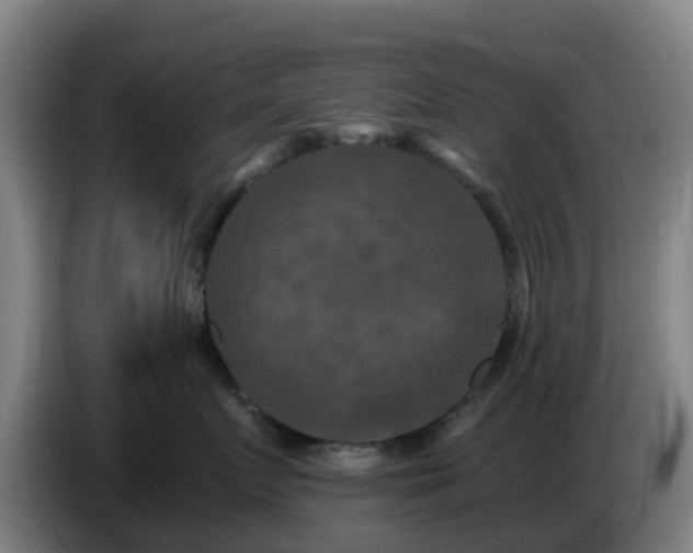 X0000086730719200704201646