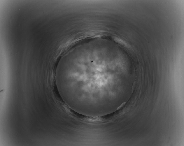 X0000086730720200704201646