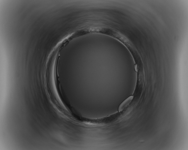 X0000086730722200704201645