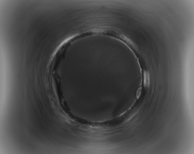 X0000086730723200704201645