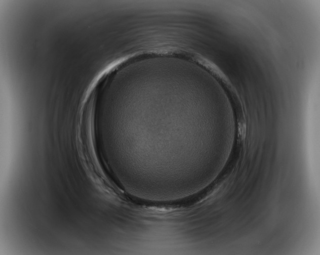 X0000086730724200704201645