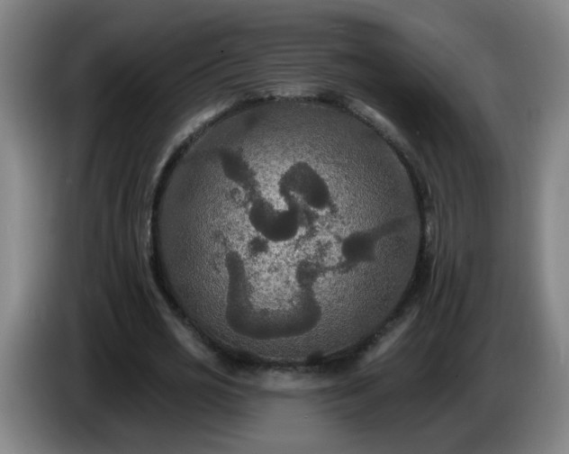 X0000086730725200704201645