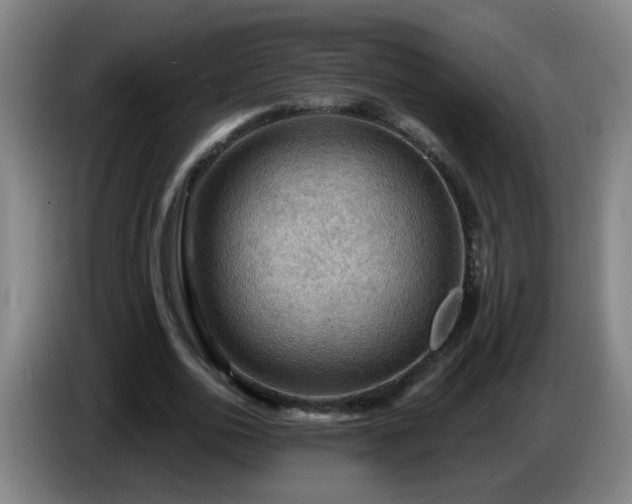 X0000086730726200704201645