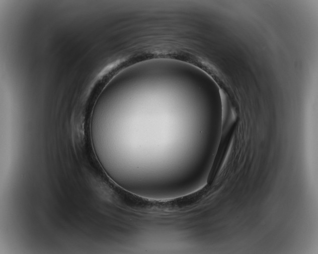 X0000086730727200704201645