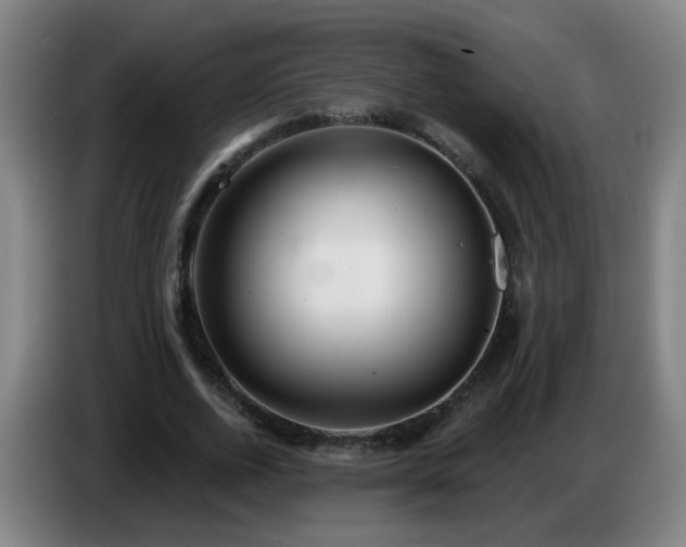 X0000086730728200704201645