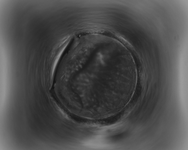 X0000086730729200704201645