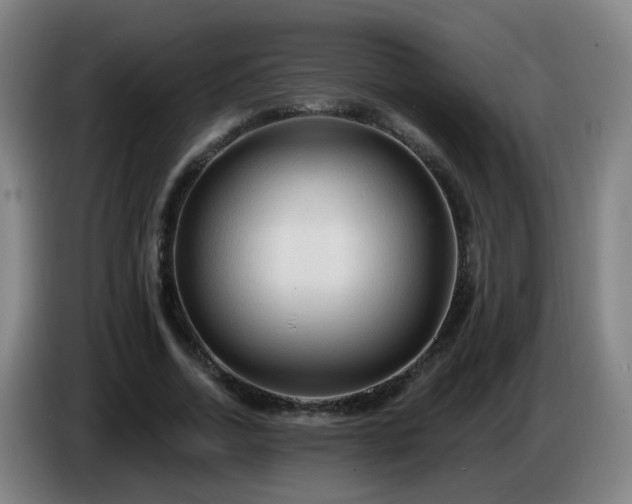 X0000086730730200704201645