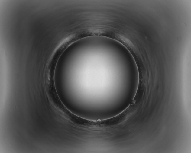 X0000086730731200704201645