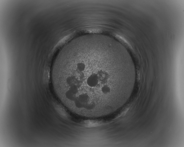 X0000086730733200704201645