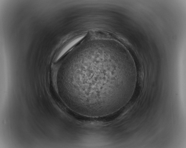 X0000086730734200704201645