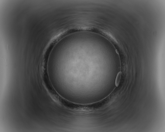 X0000086730736200704201645