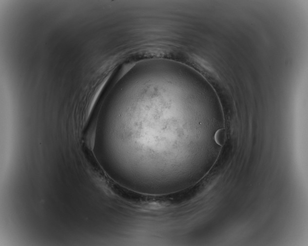 X0000086730737200704201645