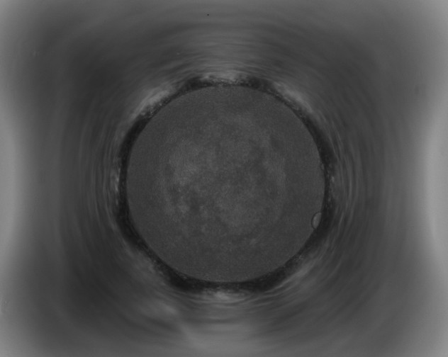 X0000086730739200704201645