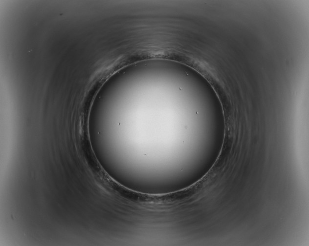 X0000086730740200704201645