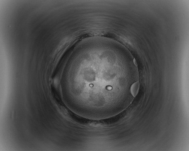 X0000086730742200704201645