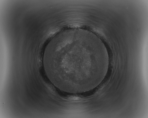 X0000086730743200704201645