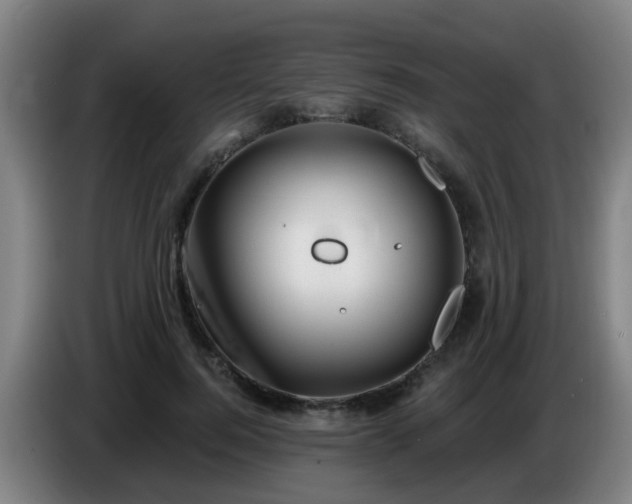 X0000086730744200704201645