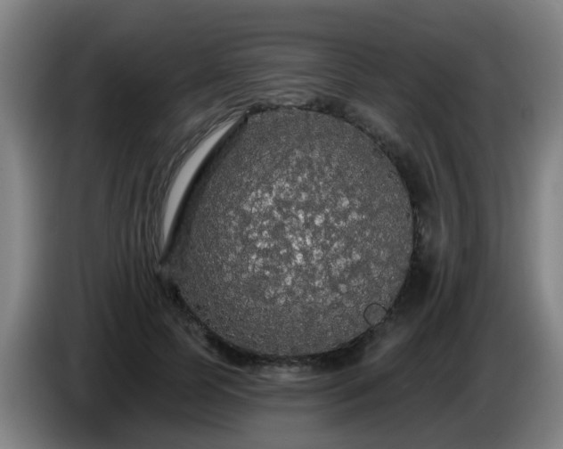 X0000086730745200704201646