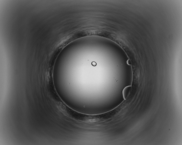 X0000086730746200704201646