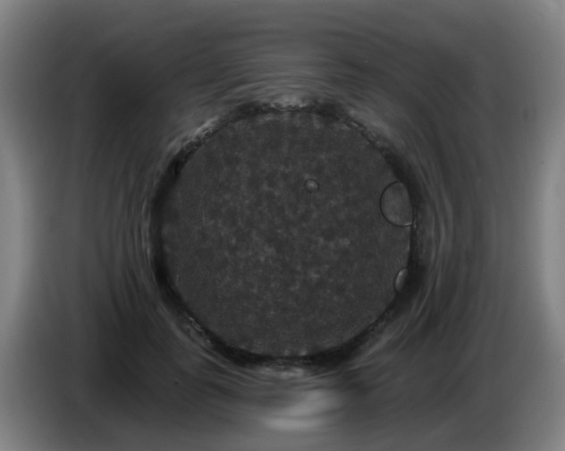 X0000086730747200704201646