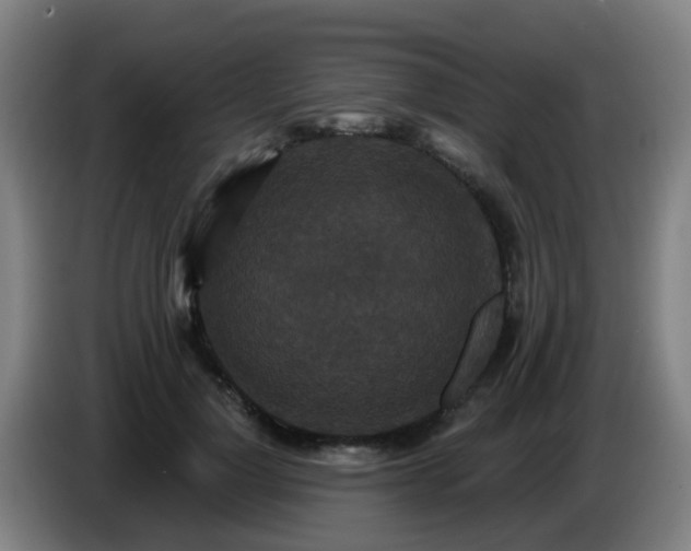 X0000086730748200704201646