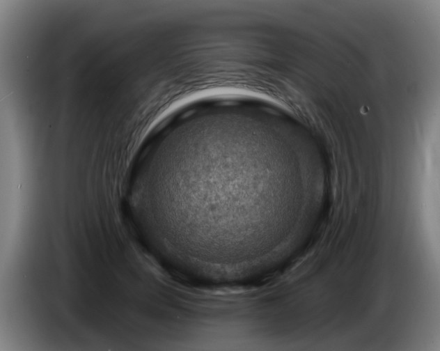 X0000086730750200704201646