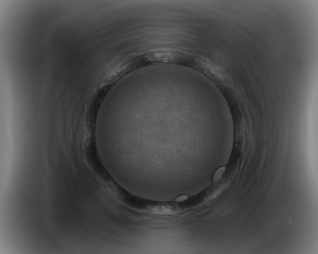 X0000086730751200704201646