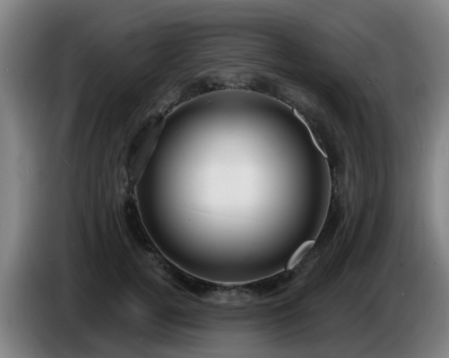 X0000086730752200704201646