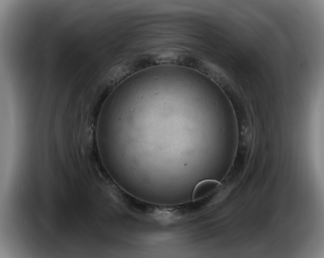 X0000086730753200704201646