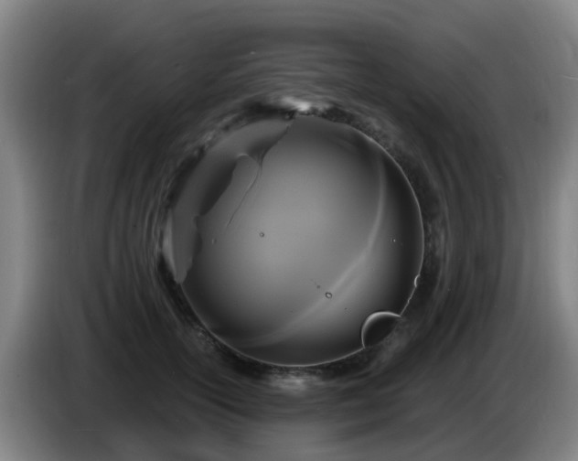 X0000086730754200704201646