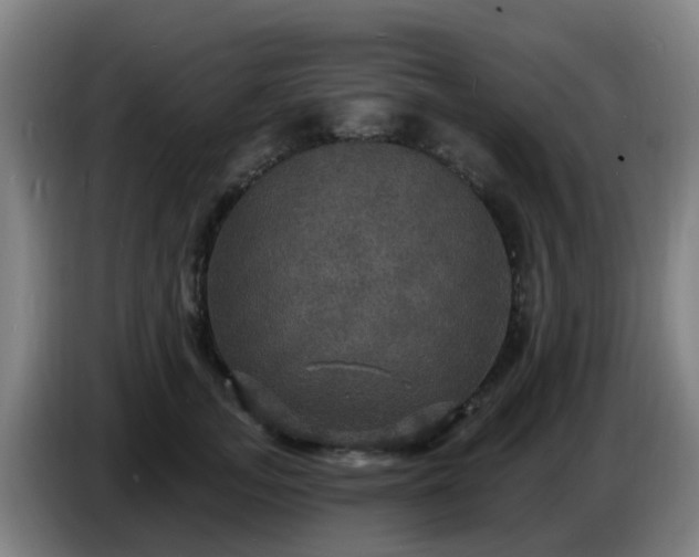 X0000086730755200704201646