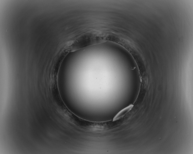 X0000086730756200704201646