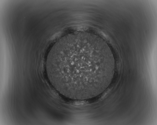 X0000086730757200704201646