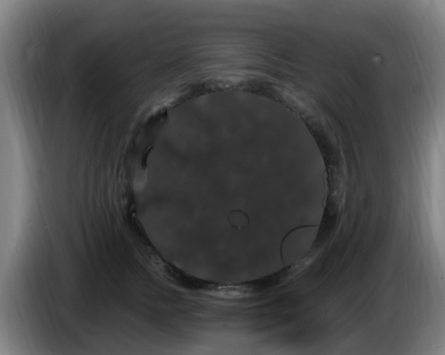 X0000086730758200704201646