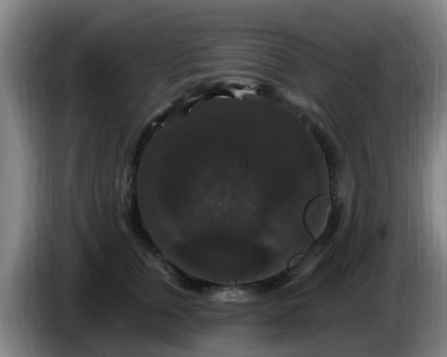 X0000086730759200704201646