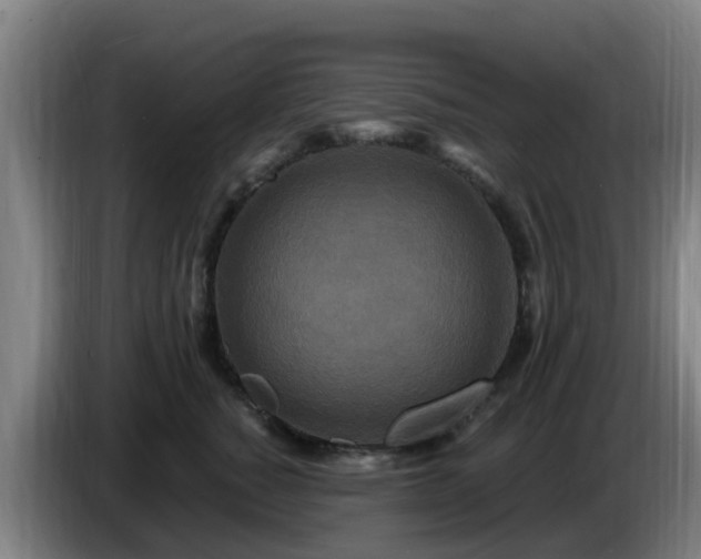 X0000086730760200704201646