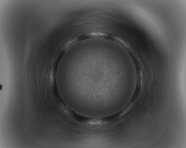 X0000086730762200704201646