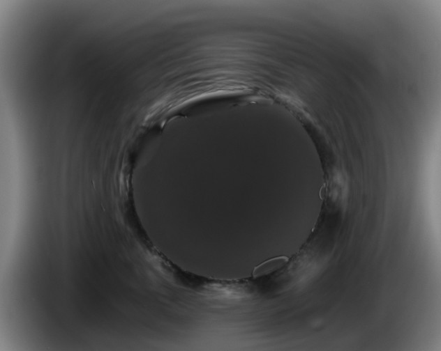 X0000086730763200704201646