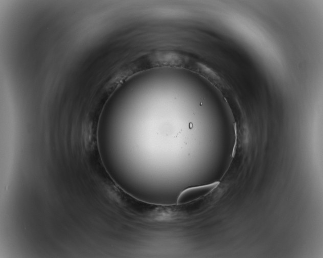 X0000086730764200704201646