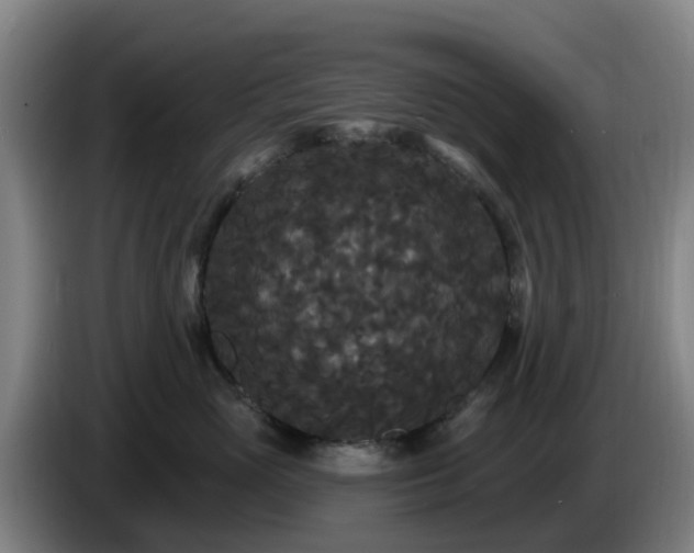 X0000086730765200704201646