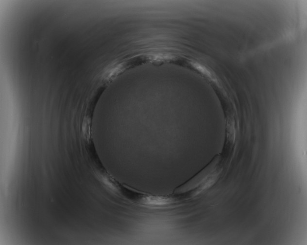 X0000086730766200704201646