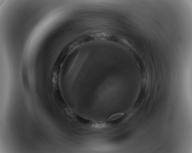 X0000086730767200704201646