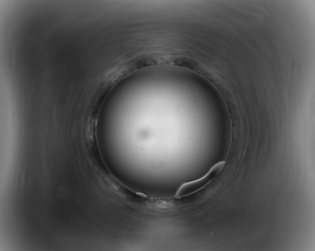 X0000086730768200704201646