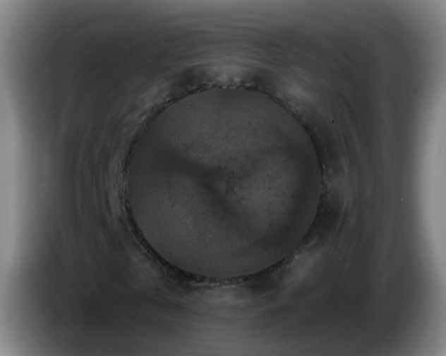 X0000086730769200704201645