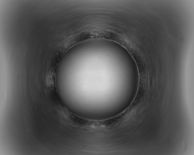 X0000086730770200704201645