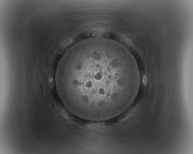 X0000086730771200704201645