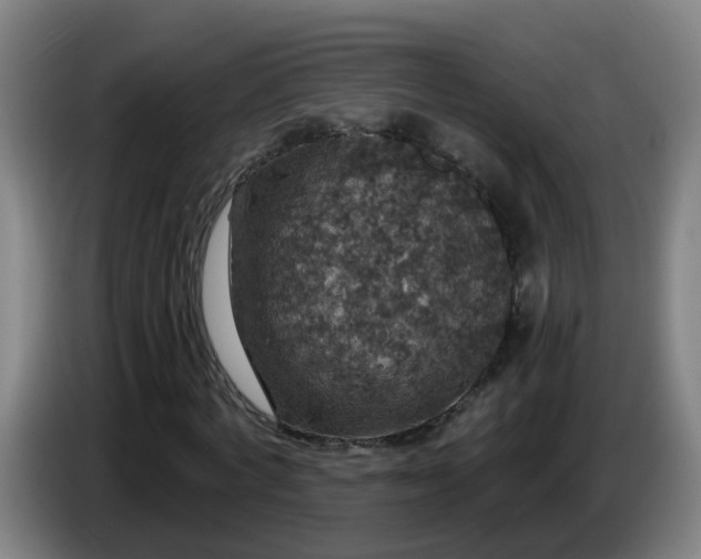 X0000086730772200704201645